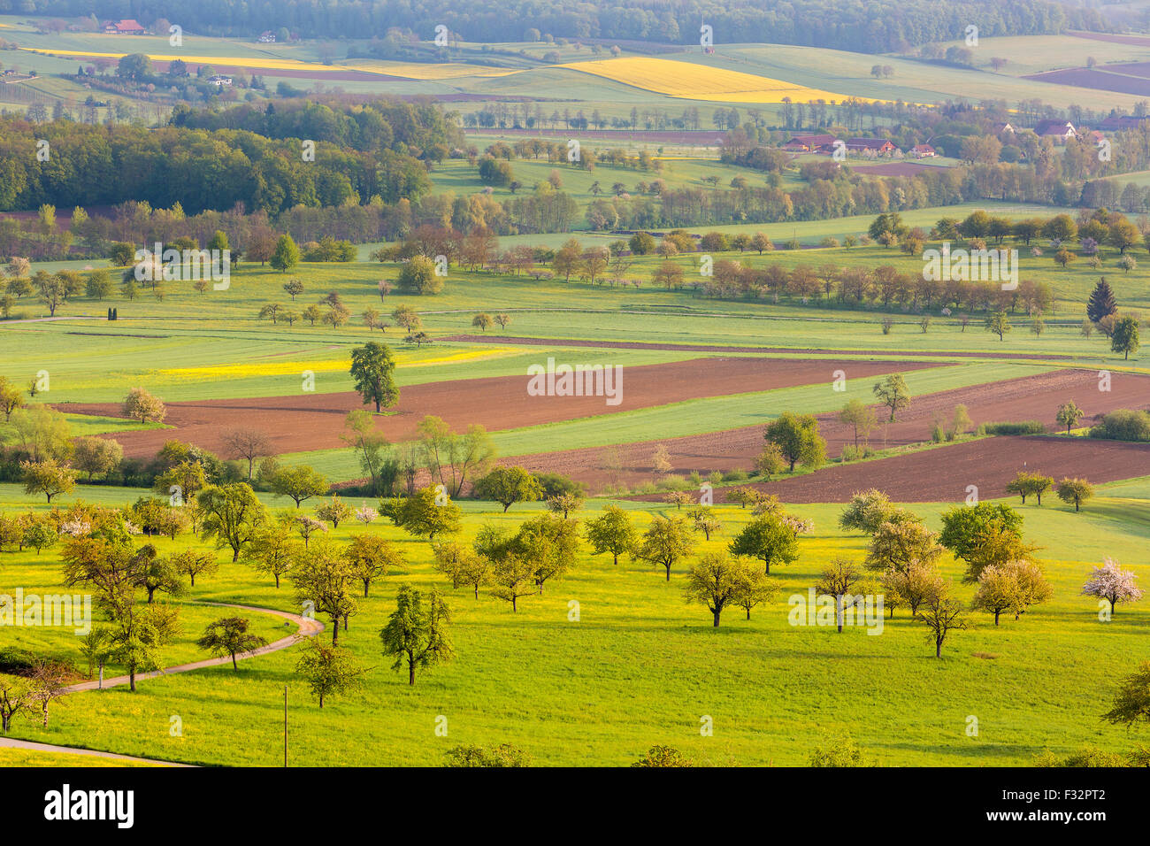 Landschaft von Burg Im Leimental, Kanton Basel-Landschaft, Schweiz, Europa gesehen. Stockfoto
