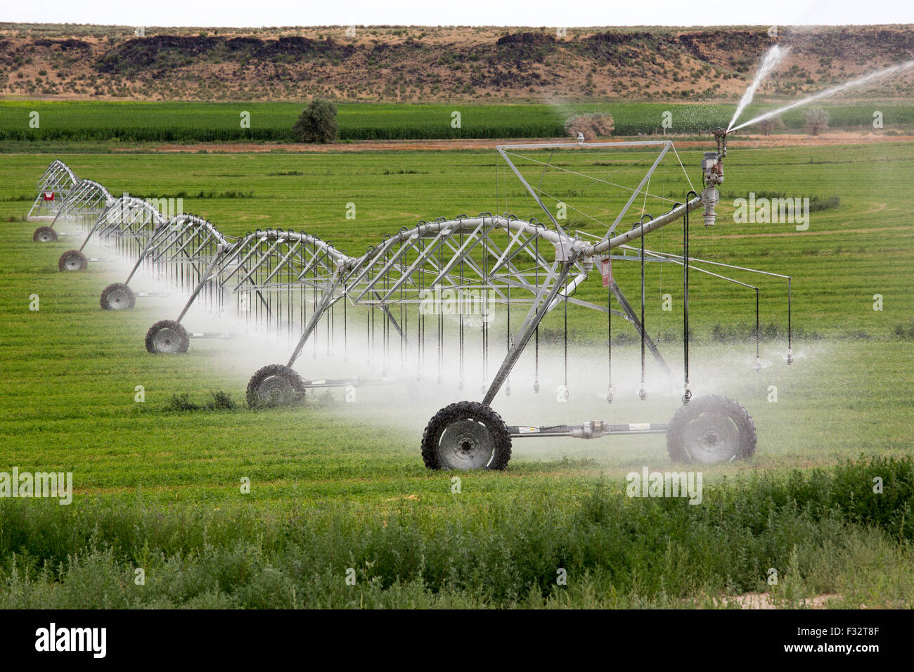 Raft River, Idaho - Bewässerung mit einer Sprinkleranlage Central Pivot. Stockfoto
