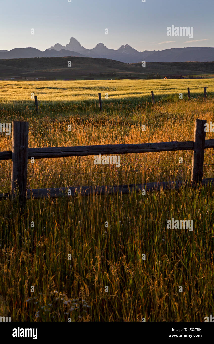 Filz, Idaho - The Teton Bergkette von landwirtschaftlichen Flächen im östlichen Idaho. Stockfoto