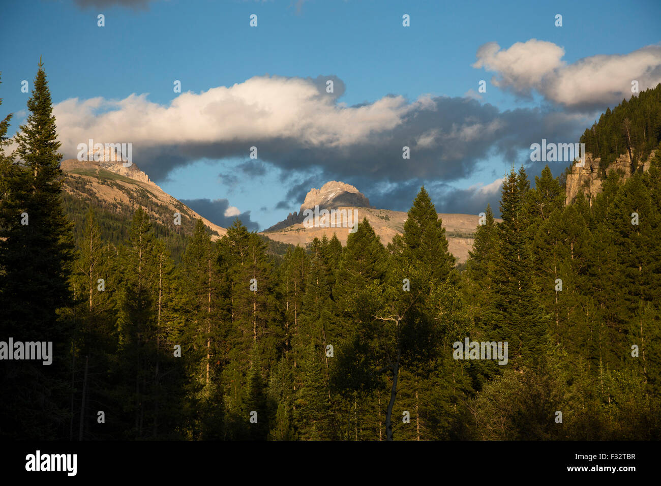 Driggs, Idaho - The Jedediah Smith Wildnis und der Teton-Bergkette. Stockfoto