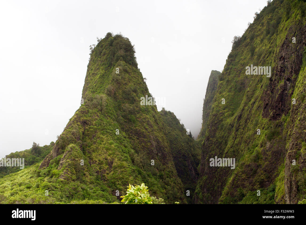 Die Iao Needle, Iao Valley National Natursehenswürdigkeit in West Maui, Hawaii, an einem nebligen Tag im August Stockfoto