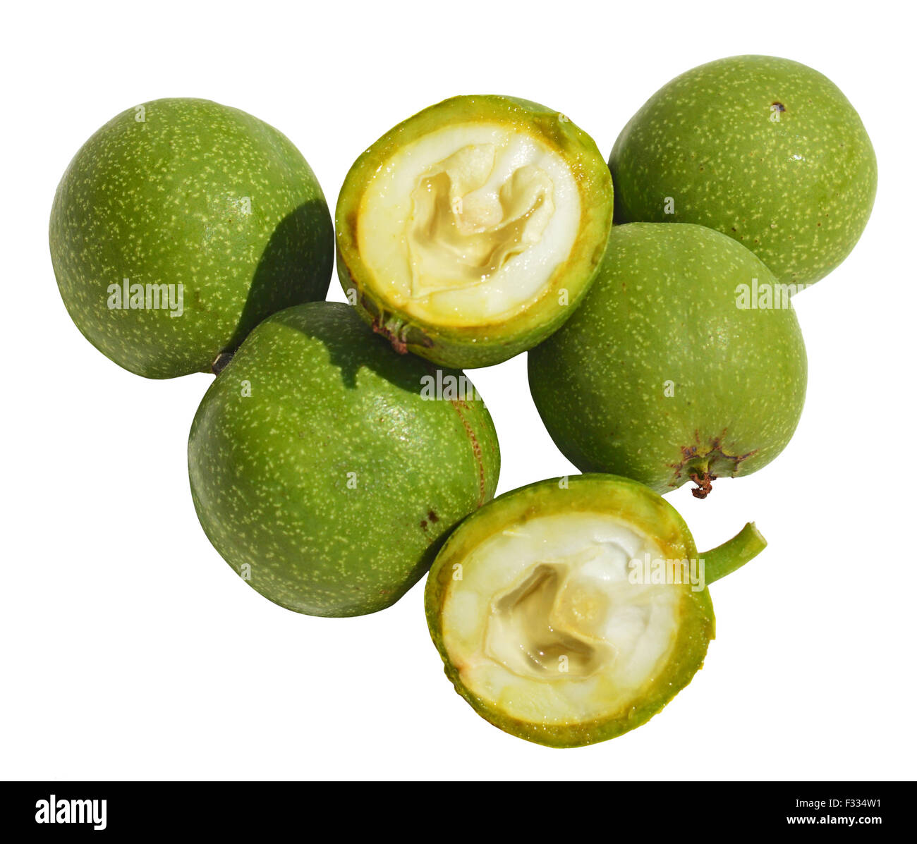 Grüner junge Walnüsse in Schalen auf weißem Hintergrund Stockfoto