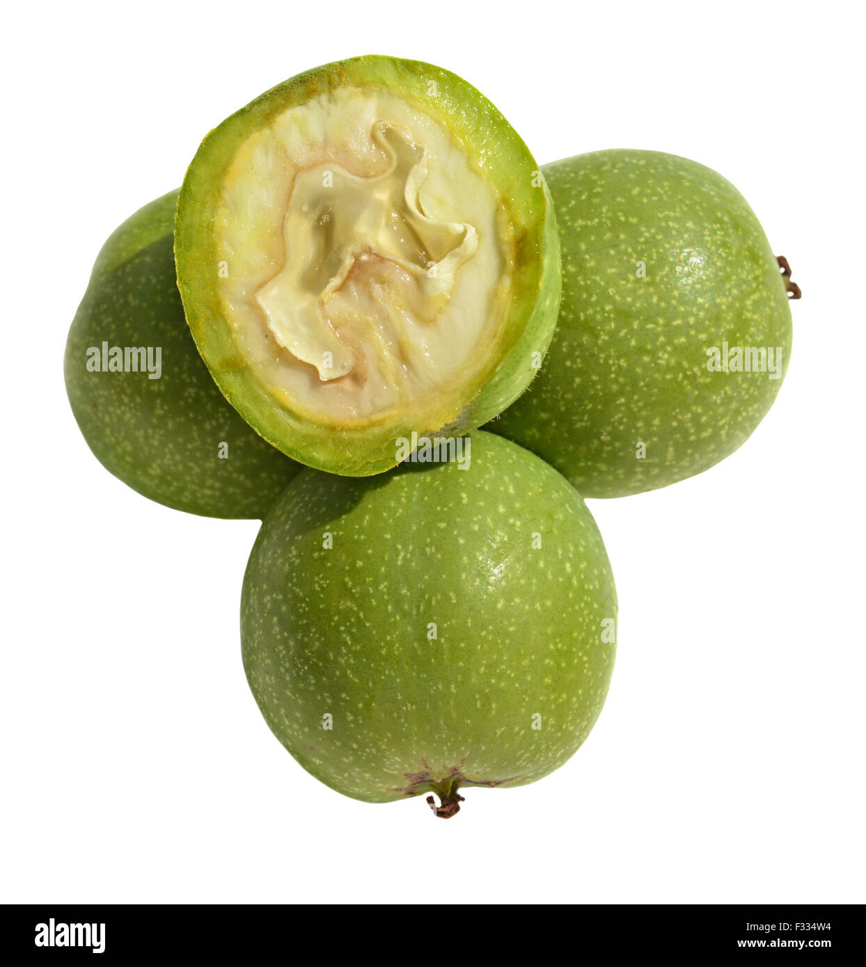 Grüner junge Walnüsse in Schalen auf weißem Hintergrund Stockfoto