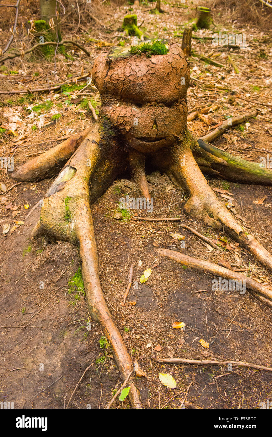Monster-Kreatur gemacht vom Baumstumpf im Wald Stockfoto