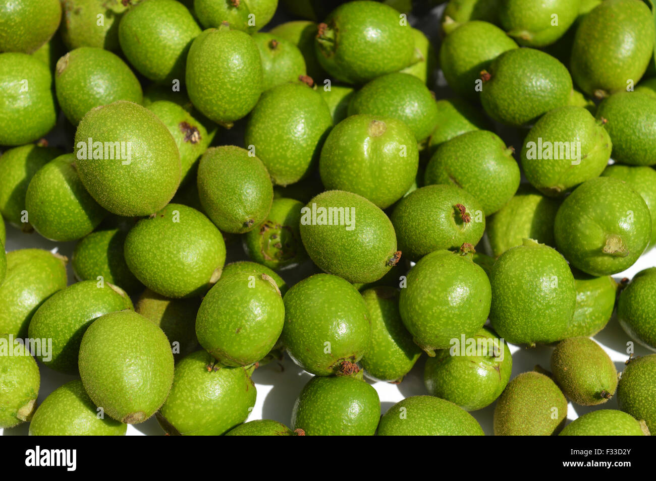 Viel Grün junge Walnüsse in Schalen als Hintergrund Stockfoto