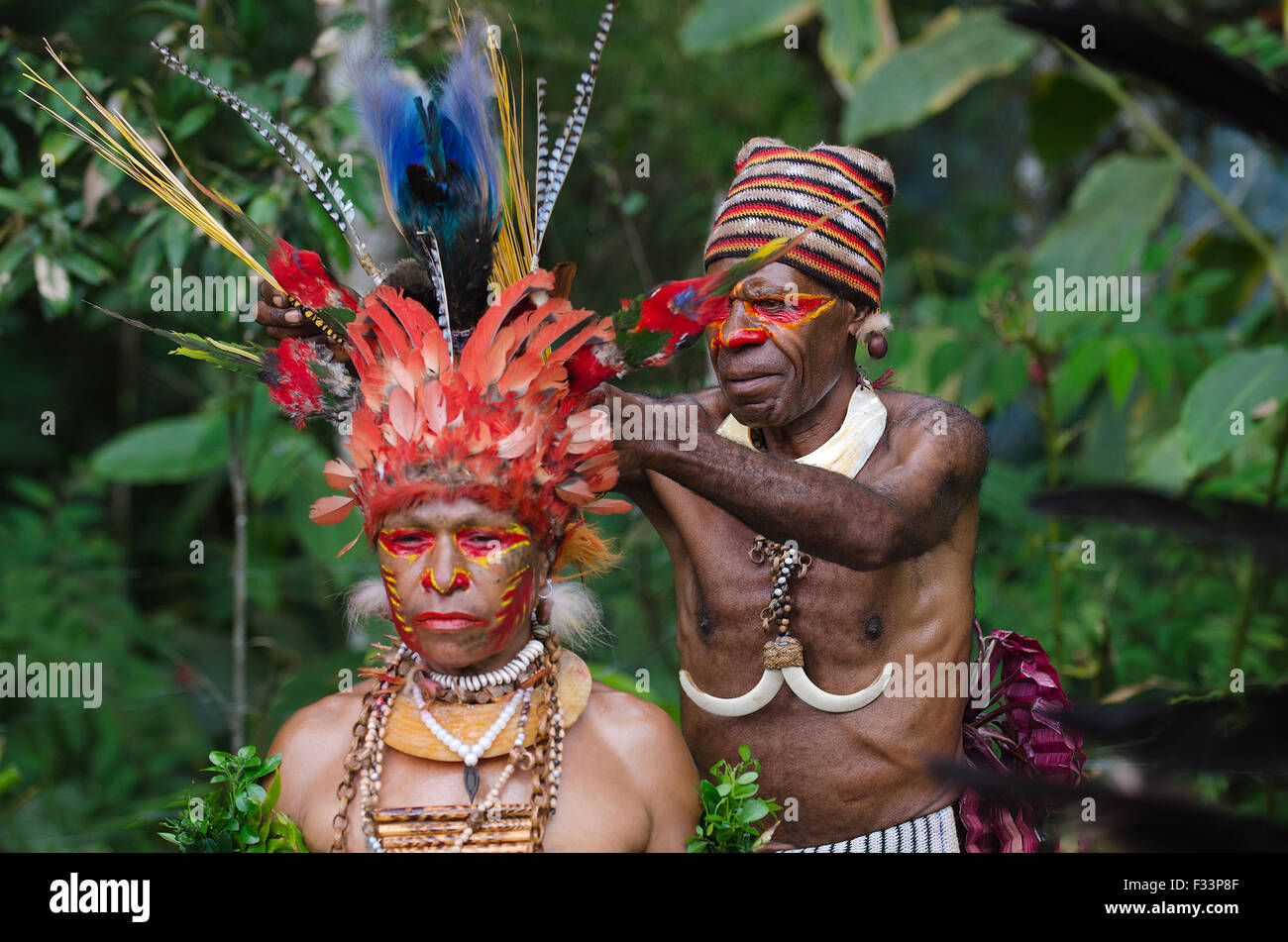 Jika Stammes Tänzer mit ihren Kopfschmuck vorbereitet Paiya Sing-Sing Western Highlands Papua Neu-Guinea.  Herzstück ist eine ganze sk Stockfoto