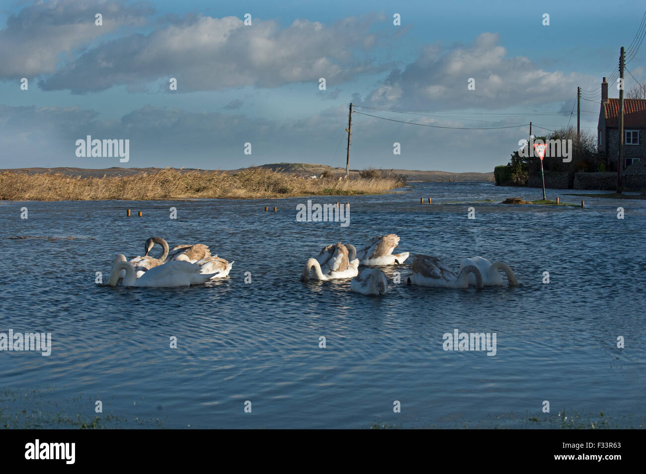 Salthouse überflutet nach Sturmflut der Nacht des 5. Dezember 2013 Norfolk Stockfoto