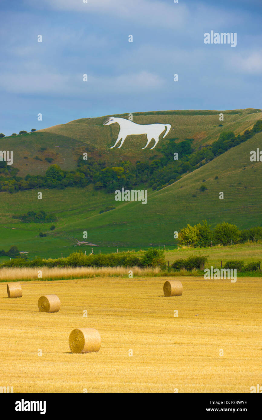Zeigen Sie an, Westbury White Horse, Wiltshire zur Erntezeit. Das White Horse ist eine berühmte lokale Landschaft.  Es wird angenommen, Biene Stockfoto