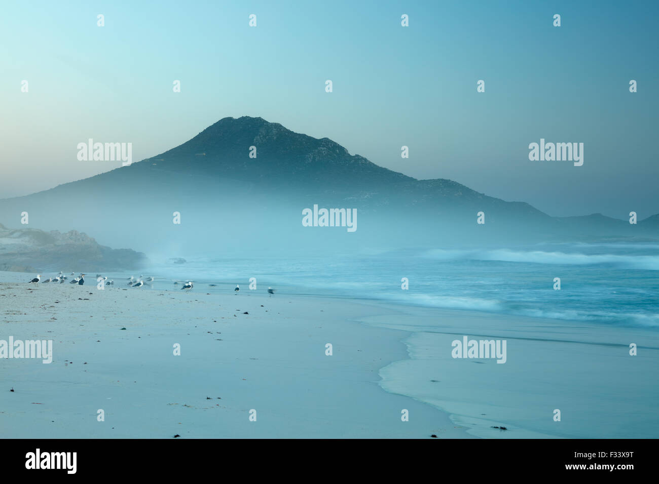 Kormorane und Möwen am Platboom Strand und das Kap der guten Hoffnung, Cape Point, Südafrika Stockfoto