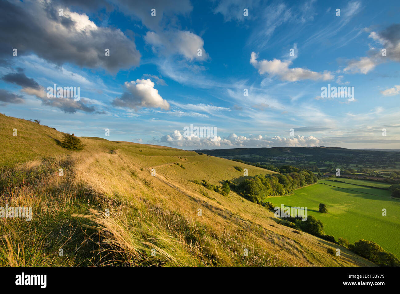 Hambledon Hill, einer prähistorischen Wallburg in der Nähe von Blandford Forum Stockfoto