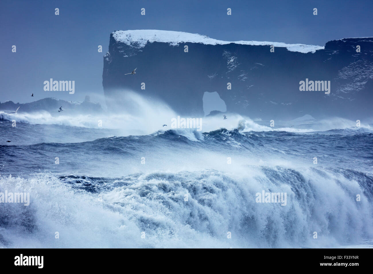 Wellen brechen sich am Reynisfjara mit Dyrhólaey über Island Stockfoto