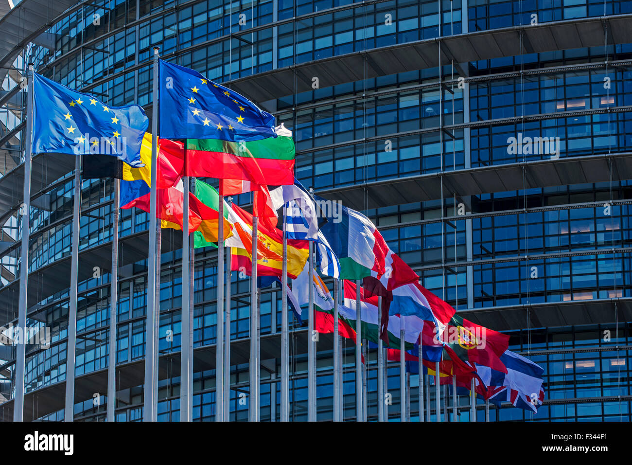 Flaggen der Länder in Europa vor dem Europäischen Parlament / EP in Straßburg, Frankreich Stockfoto