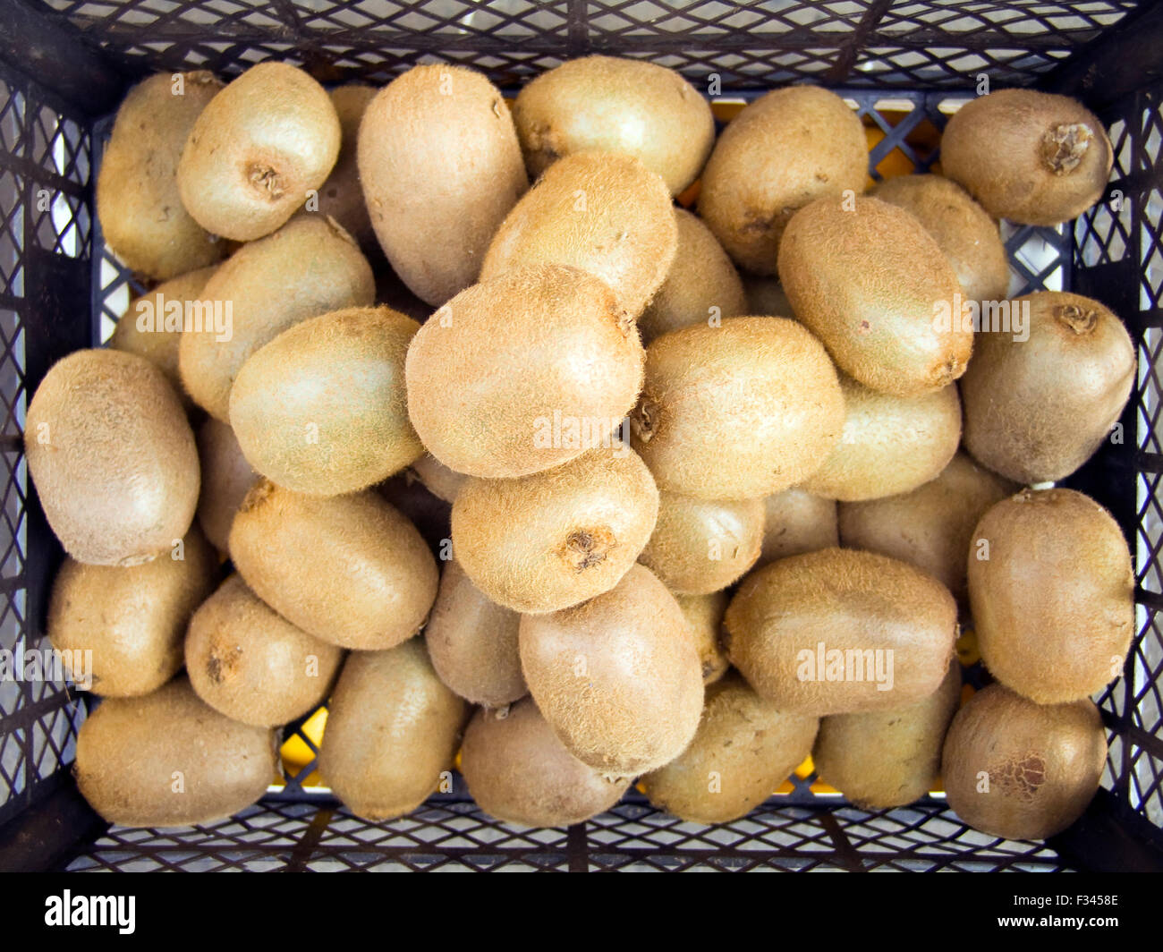 Die schöne Kiwis auf einen Zähler Stockfoto