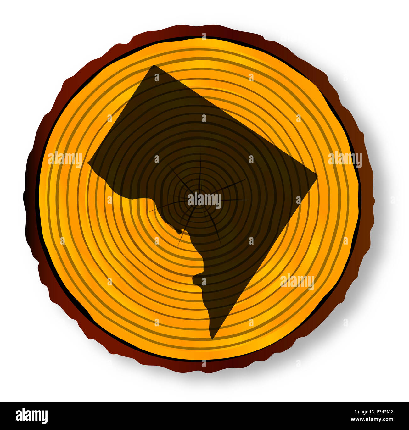 Karte von Washington D.C. auf einem Holz-Ende-Abschnitt über einen weißen Hintergrund Stockfoto