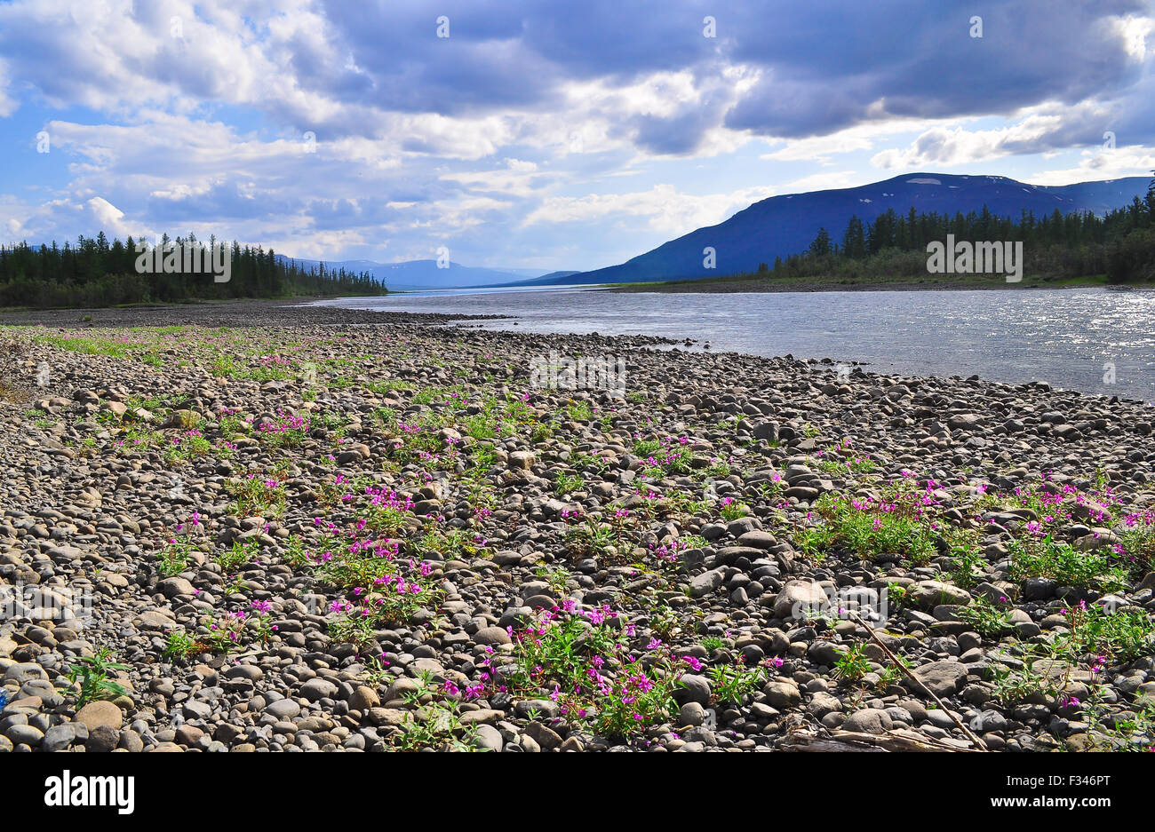 Fluss Muksun, dem Putorana-Plateau. Sommer Wasserlandschaft in Taimyr, Sibirien, Russland. Stockfoto