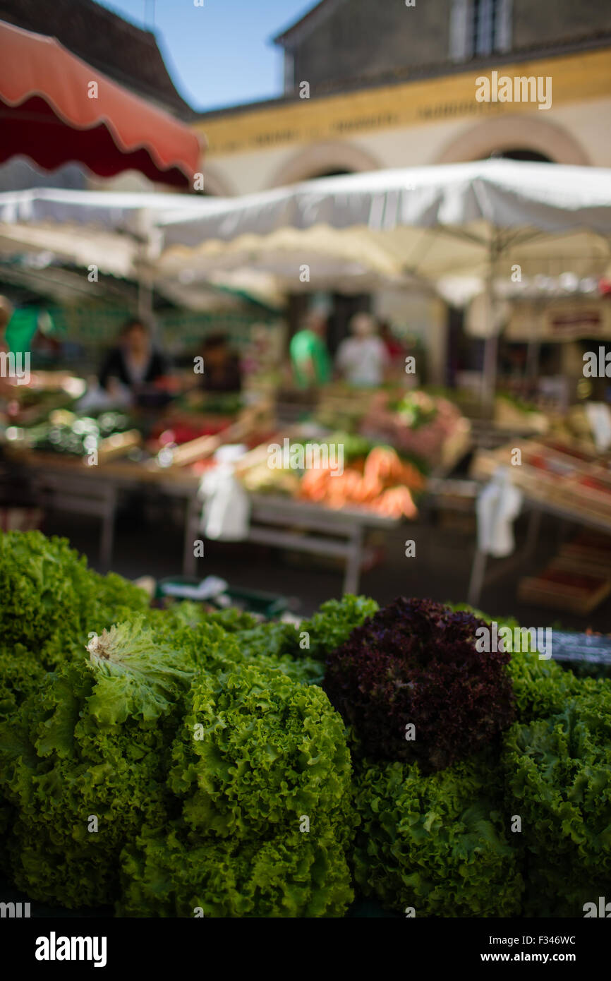 Salate zum Verkauf auf dem Markt von Issigeac, Pays de Bergerac, Périgord, Dordogne, Aquitaine, Frankreich Stockfoto