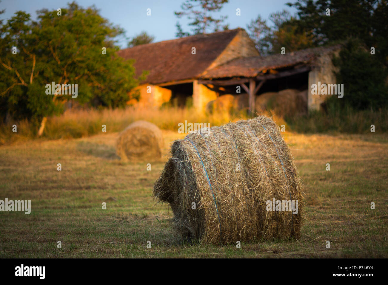Strohballen auf einem Feld in der Nähe von Beaumont du Périgord, Pays de Bergerac, Dordogne, Aquitaine, Frankreich Stockfoto