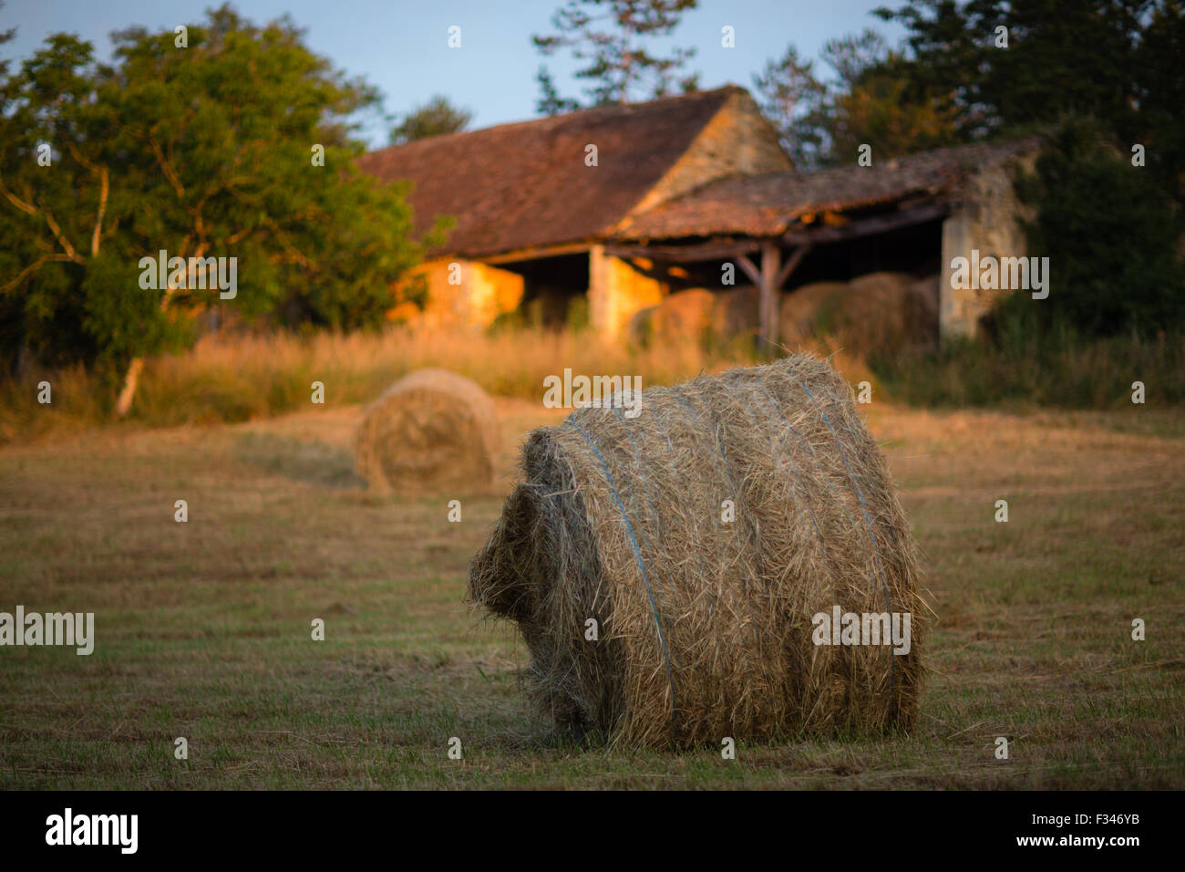 Strohballen auf einem Feld in der Nähe von Beaumont du Périgord, Pays de Bergerac, Dordogne, Aquitaine, Frankreich Stockfoto