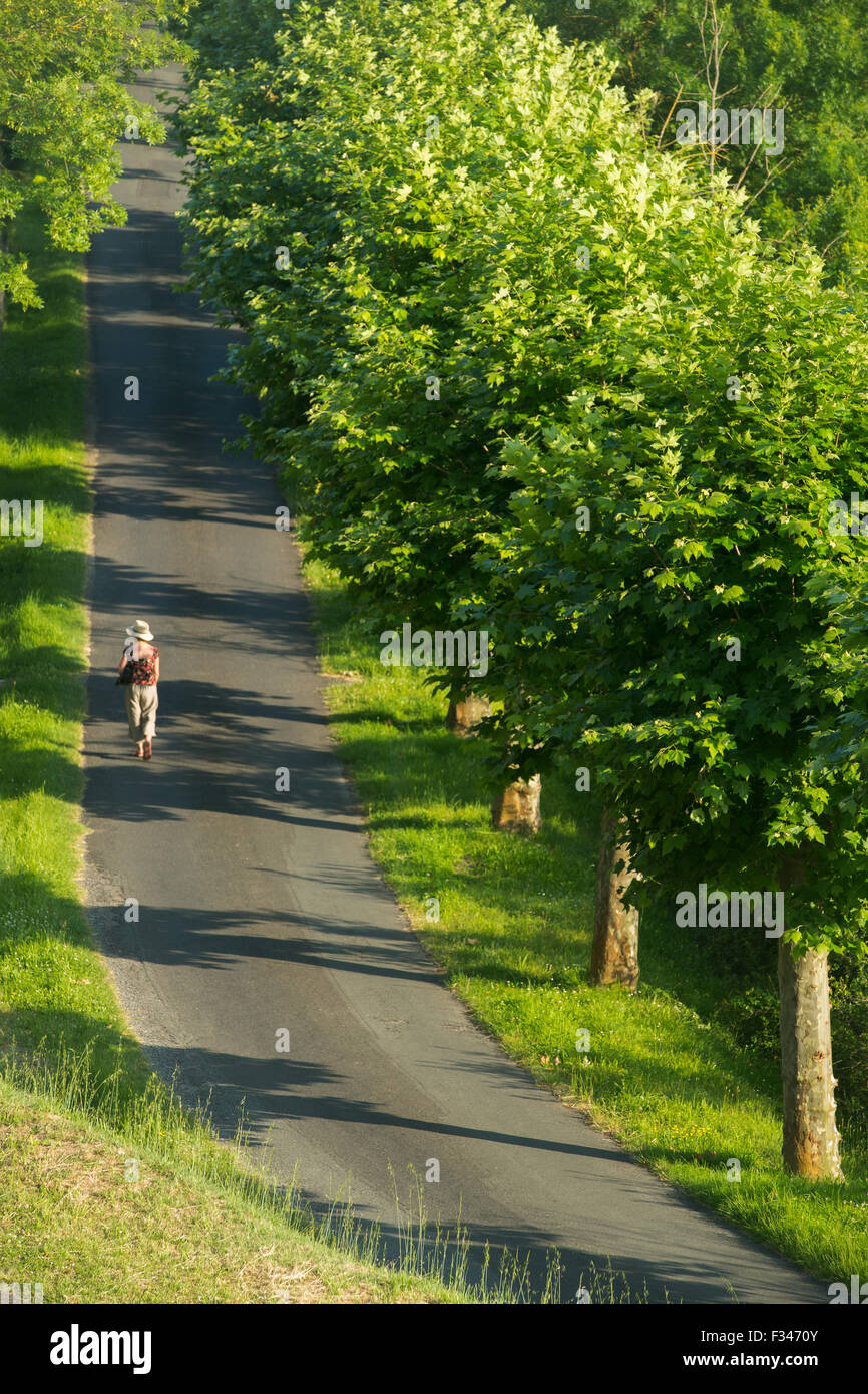 Wendy zu Fuß entlang eines Baumes gesäumten Allee in Beaumont du Périgord, Pays de Bergerac, Dordogne, Aquitaine, Frankreich Stockfoto