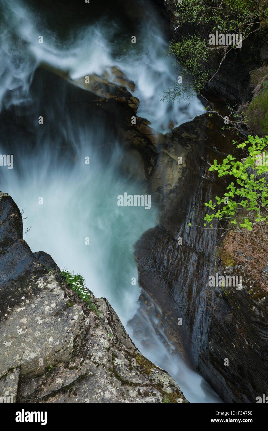 Lin Quoich, Deeside, Aberdeenshire, Schottland Stockfoto