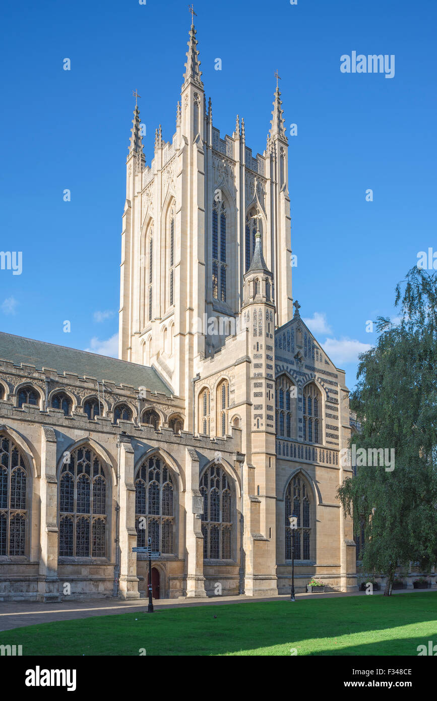 Englische gotische Kathedrale, Blick auf die St. Edmundsbury Kathedrale, erbaut von John Wastell im 16. Jahrhundert, Bury St Edmunds Suffolk, Großbritannien Stockfoto