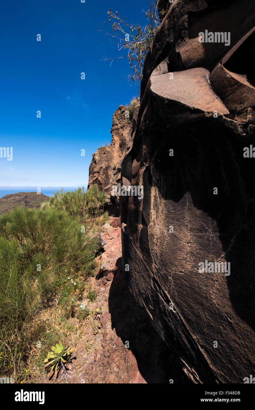 Basalt Felswand auf Klippen über Arguayo auf Teneriffa, mit Aeonium und andere einheimischen Pflanzen aus den Rissen in den Felsen wachsen. Stockfoto