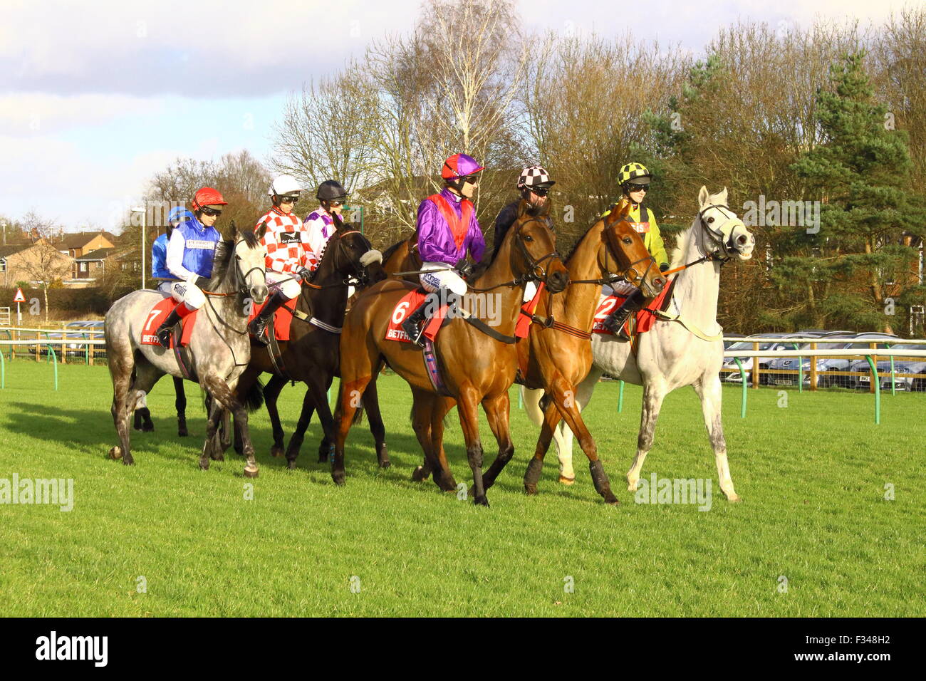 Warwick Rennbahn Hürde Start Warm Up - National Hunt 01.10.2015 Stockfoto