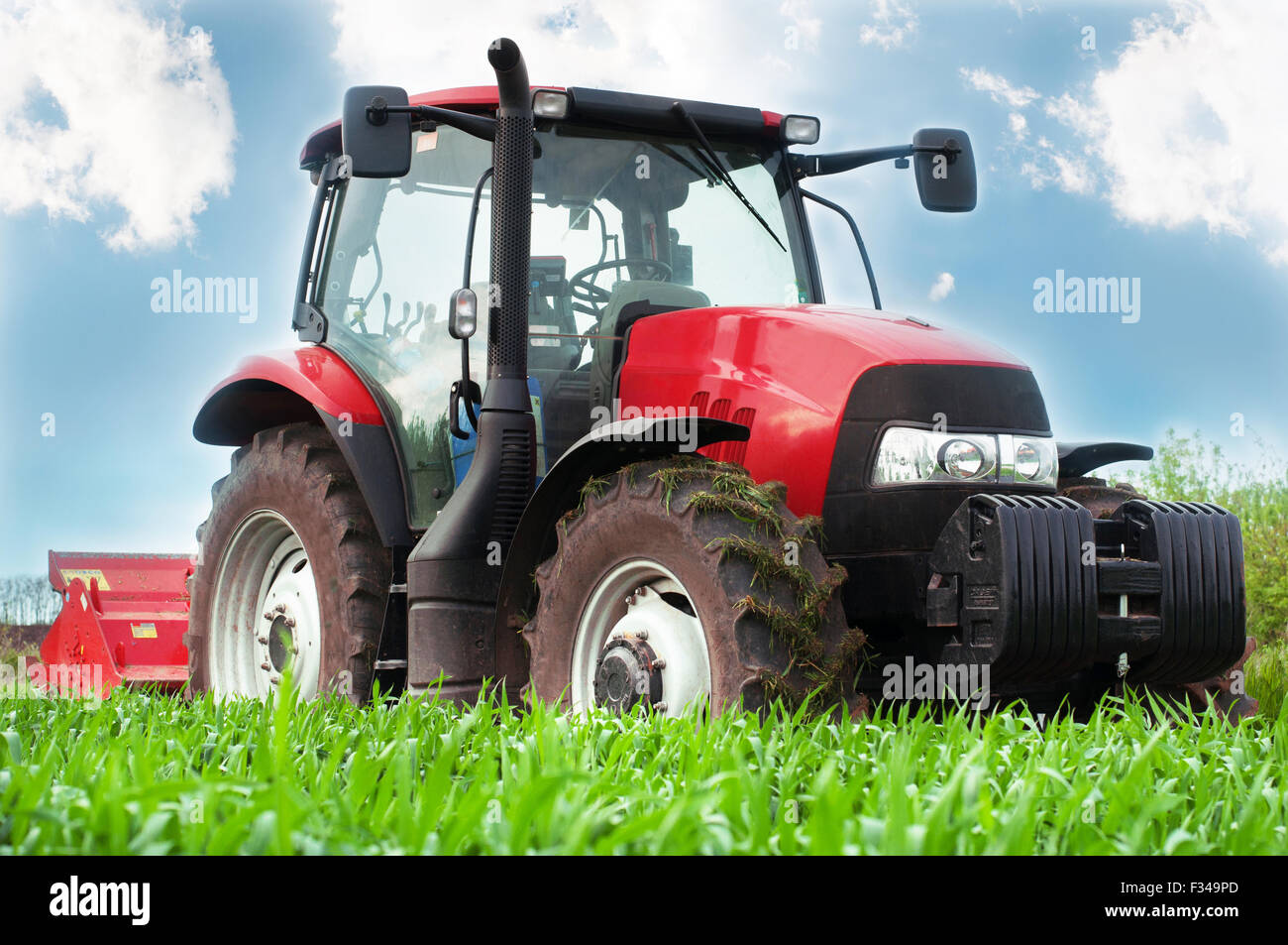 Roter Traktor mäht den Rasen. Stockfoto