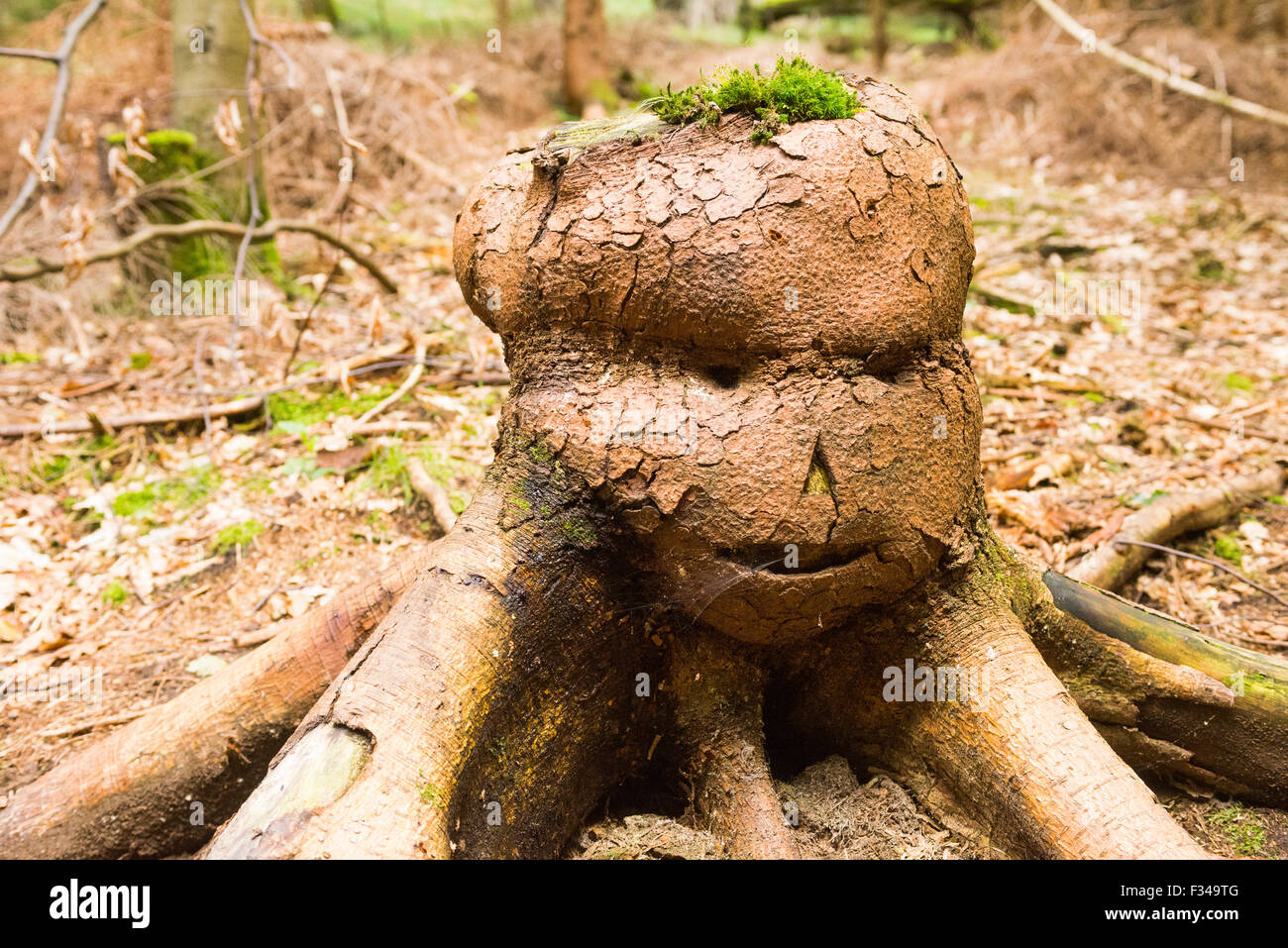 Monster-Kreatur gemacht vom Baumstumpf im Wald Stockfoto