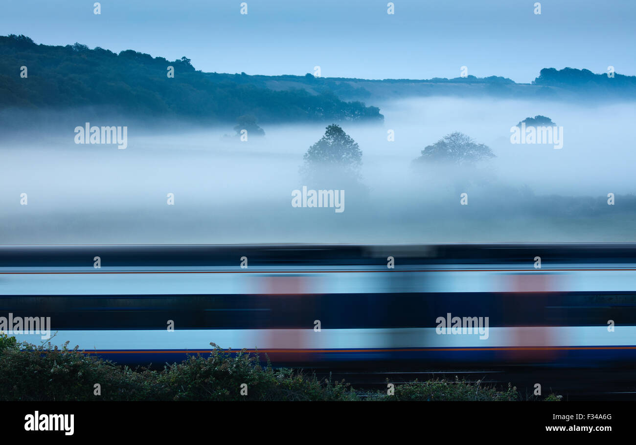 ein Zug vorbei an einem nebligen Morgen in der Nähe von Milborne Wick, Somerset, England, UK Stockfoto