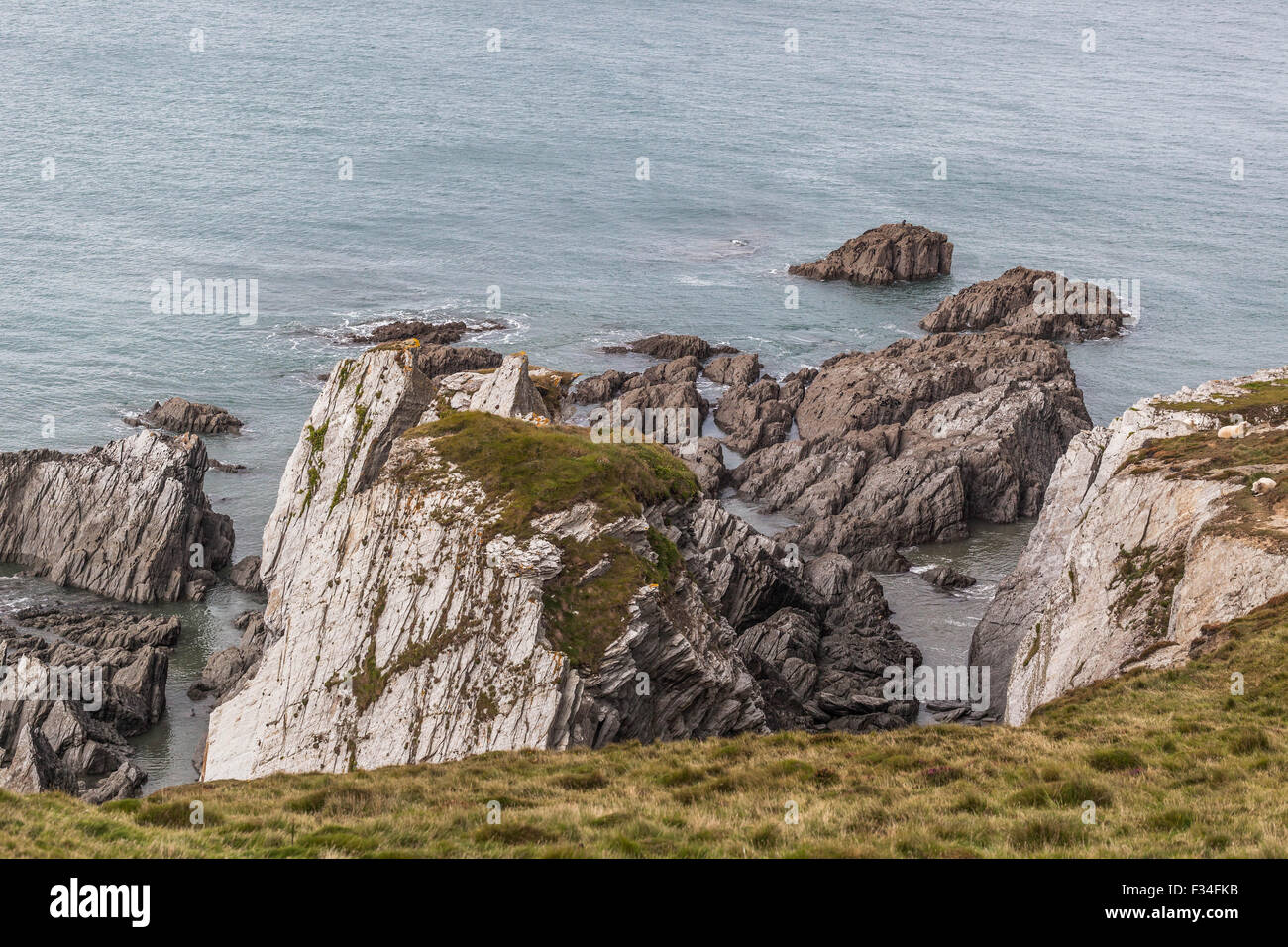 Starke Küstenerosion, Bull Point, North Devon, Südwestengland, England, UK Stockfoto
