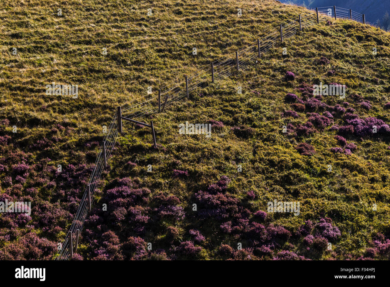 Fechten, hoch oben auf einem Hügel auf den Peak District gesehen. Stockfoto