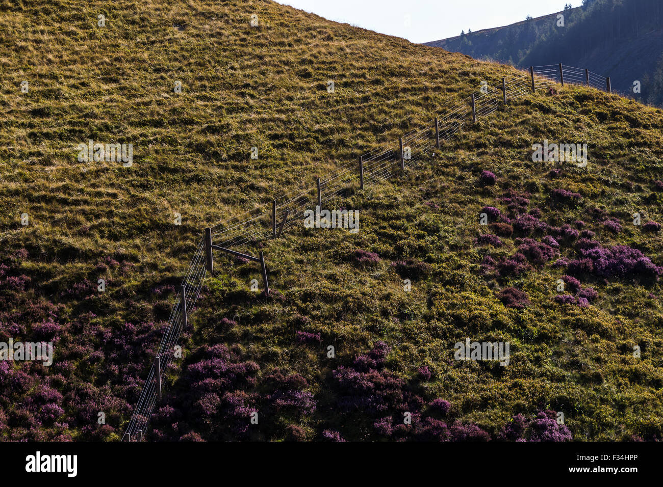 Fechten, hoch oben auf einem Hügel auf den Peak District gesehen. Stockfoto
