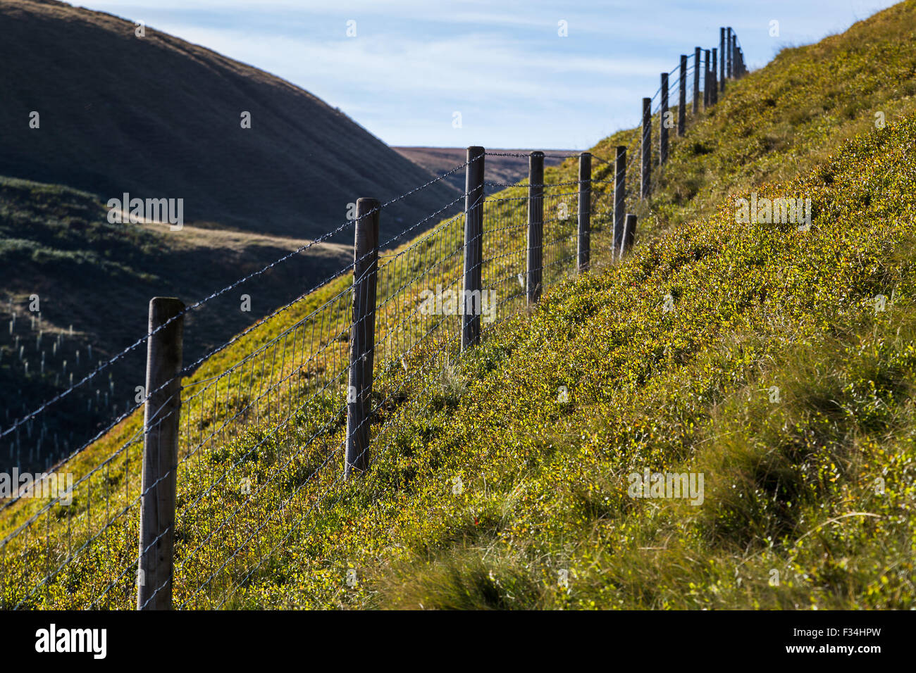 Fechten, hoch oben auf einem Hügel auf den Peak District gesehen. Stockfoto