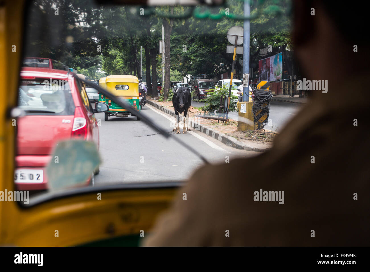 Blick vom Auto-Rikscha, Bangalore, Karnataka, Indien Stockfoto