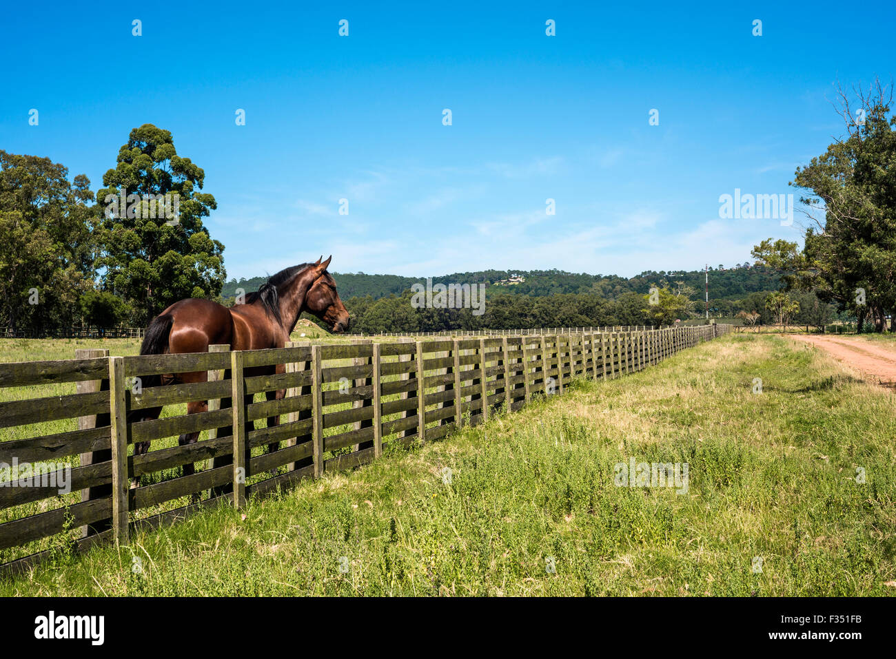 Klassische Ansicht Landschaft in Maldonado Abteilung von Uruguay Stockfoto