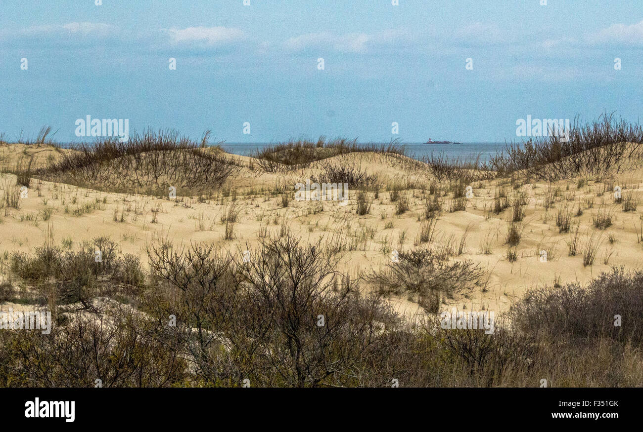 Dünen von Cape Henlopen Stockfoto