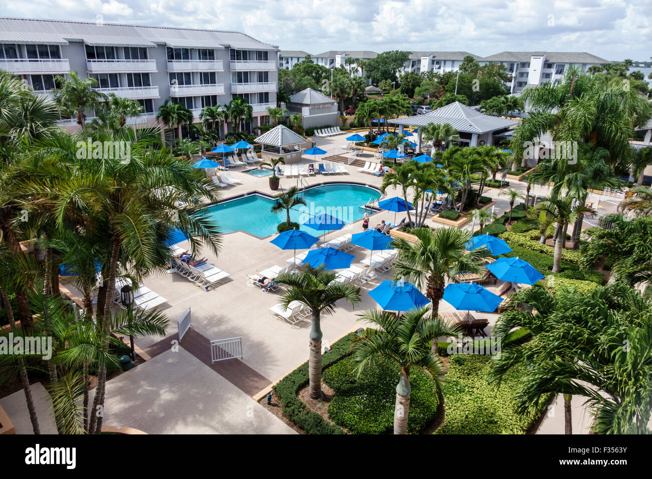 Stuart Florida, Hutchinson Barrier Island Marriott Beach Resort & Marina, Hotel, Poolbereich, Palmen, FL150416001 Stockfoto
