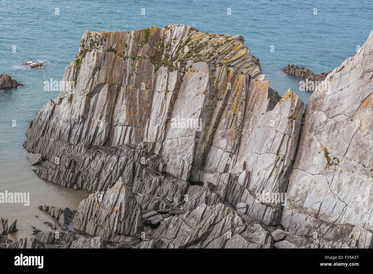 Schroffe Felsen in schweren Küstenerosion Bull Punkt, Devon, Südwestengland, England, UK Stockfoto