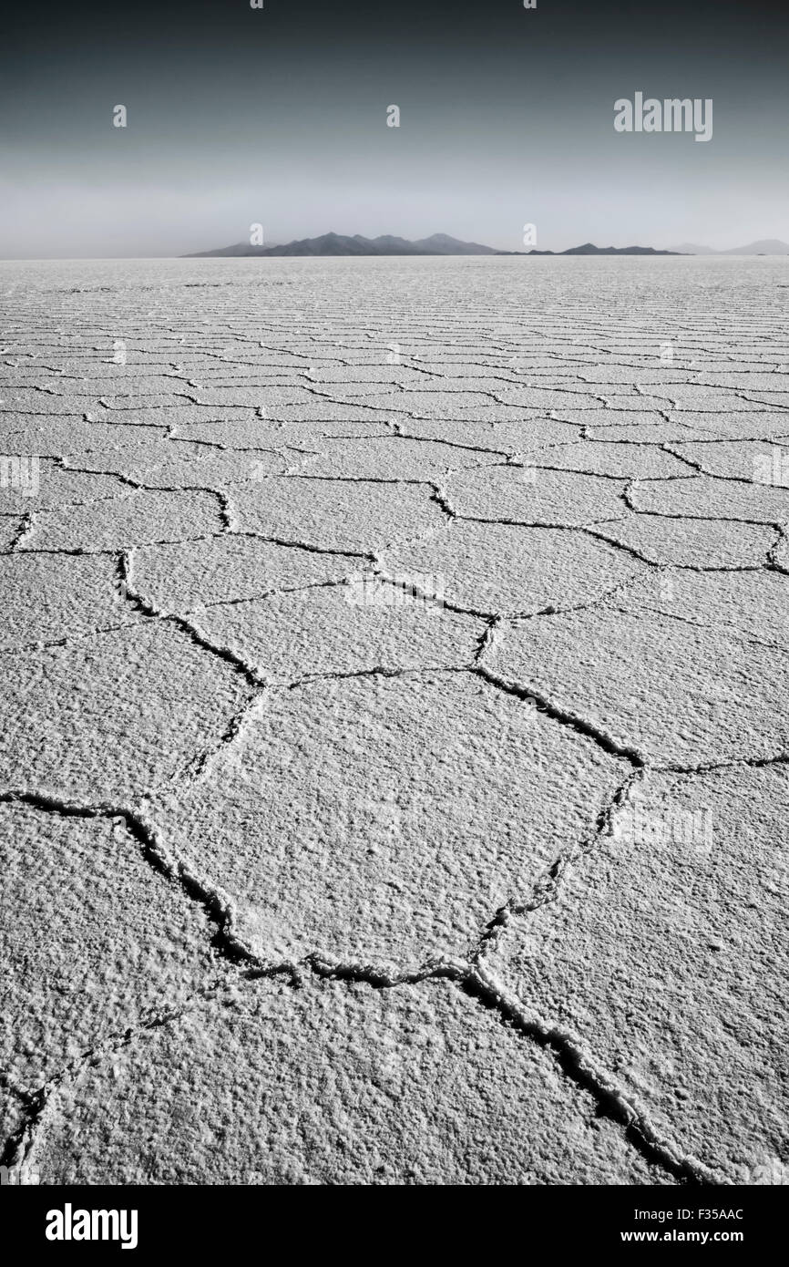 Hexagonal geformten Salz flats, polygonale Linien erhöhten Salz erstellt durch Verdunstung in der Trockenzeit, Salar de Uyuni, Bolivien Stockfoto