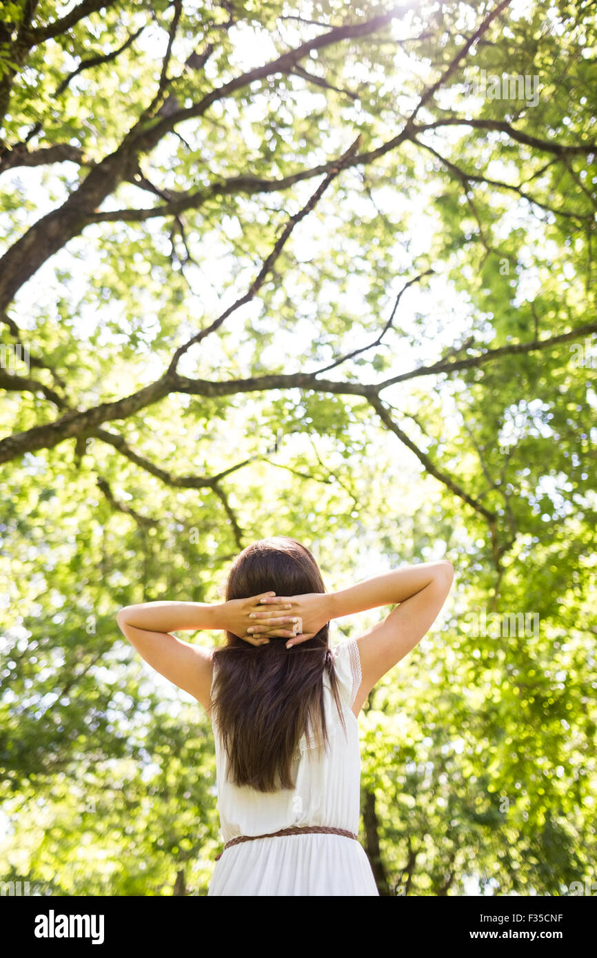 Niedrigen Winkel Rückansicht Frau entspannende gegen Bäume Stockfoto