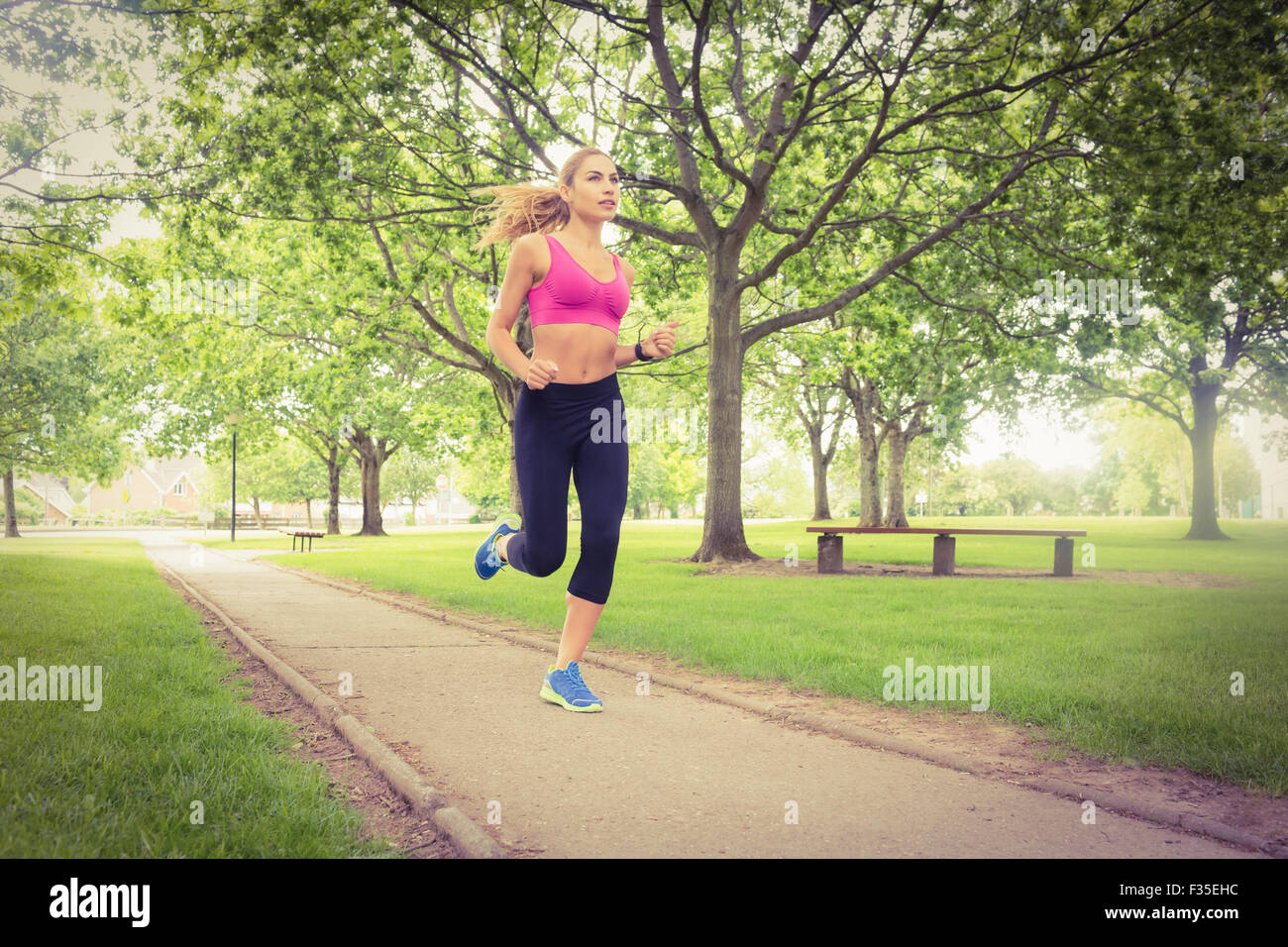 Sportliche Frau läuft im park Stockfoto