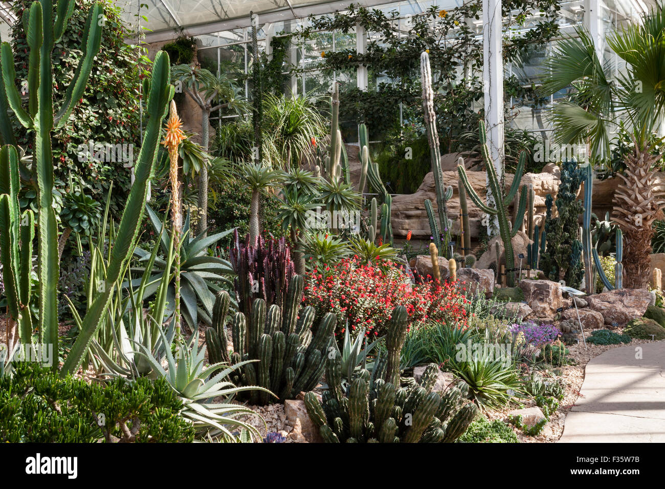 Die Royal Horticultural Society (RHS) Gärten in Wisley, Surrey, UK. Innere des Gewächshaus Stockfoto