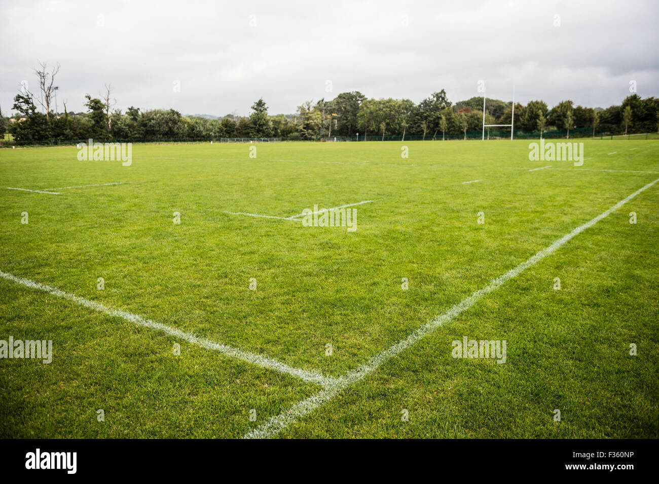 Leere Rugby-Spielfeld Stockfoto