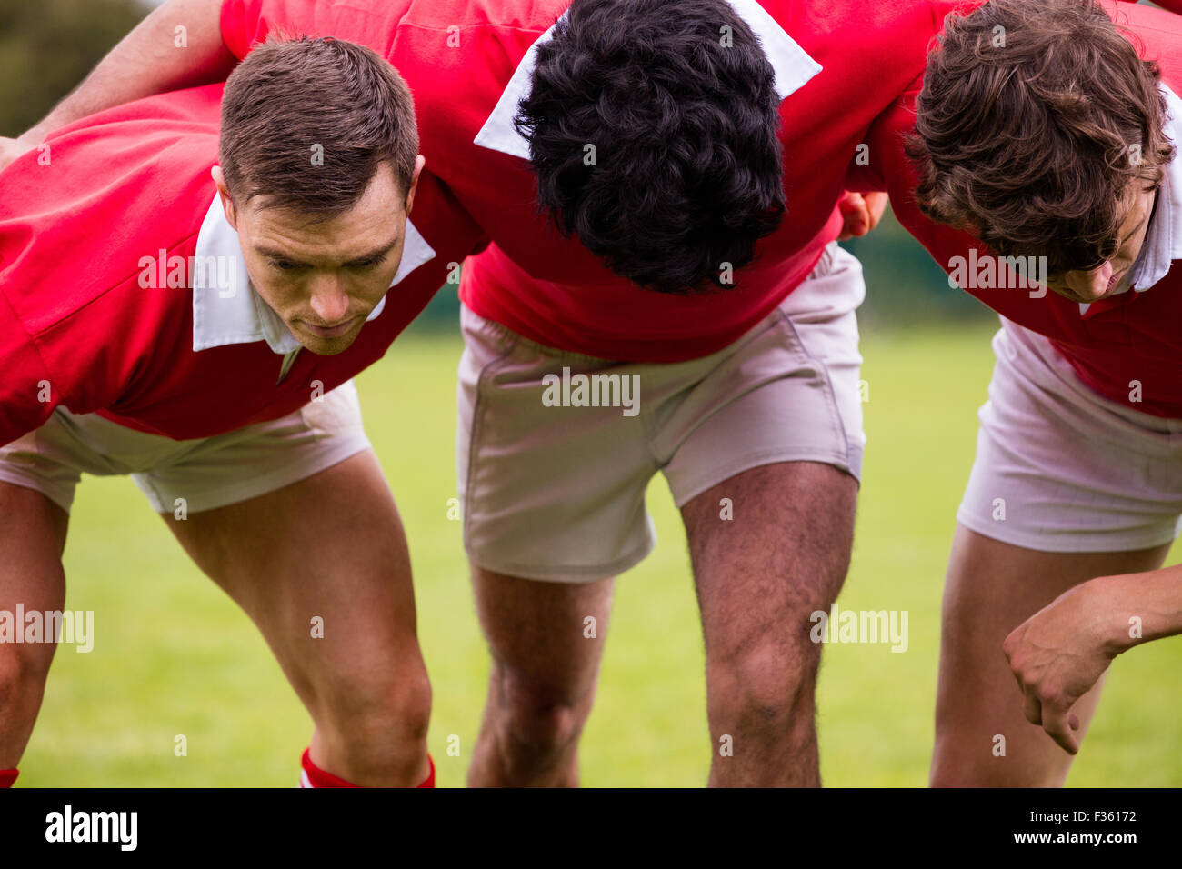 Rugby-Spieler spielbereit Stockfoto
