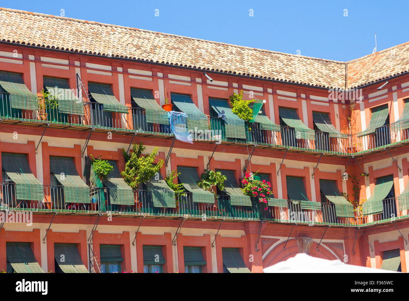 Berühmte Plaza De La Corredera aus dem Jahr 1683 in Cordoba, Spanien Stockfoto