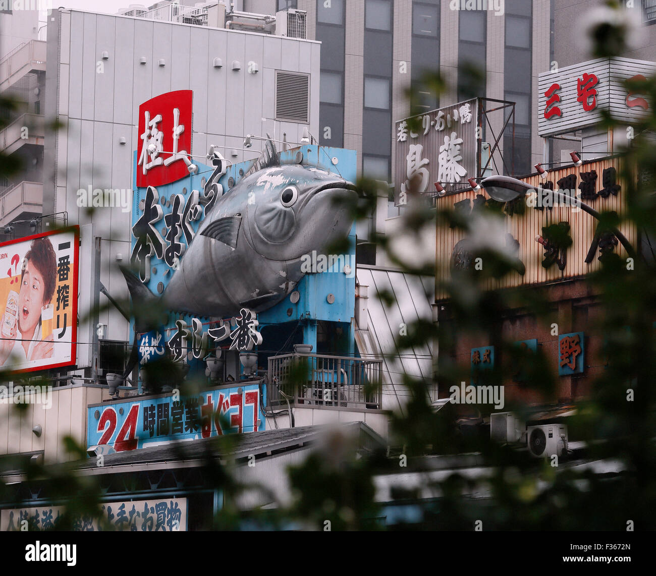 Tsukiji Fischmarkt von Tokio Stockfoto