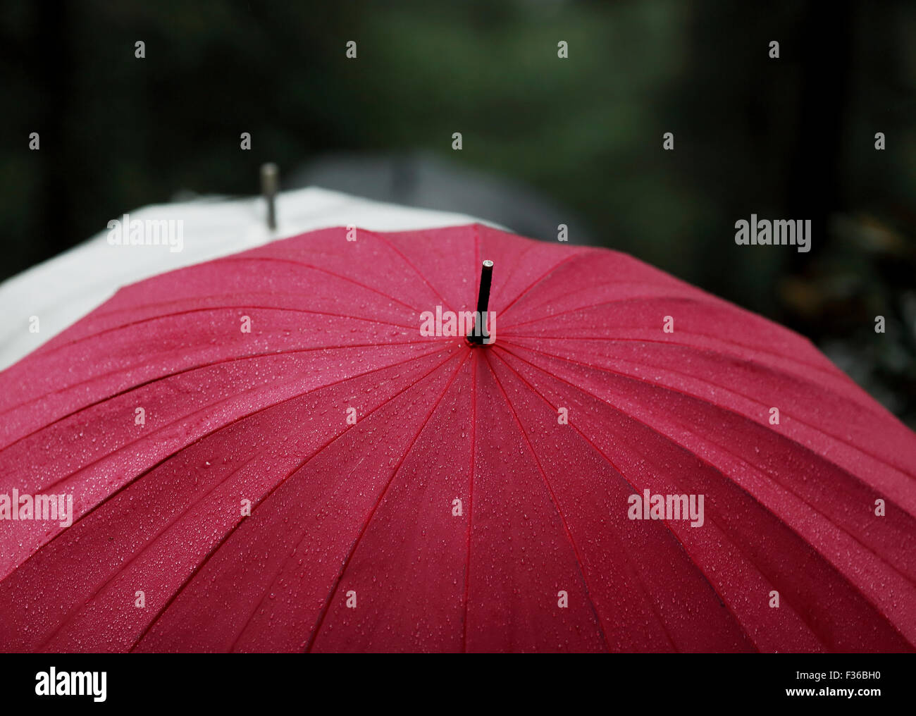 Sonnenschirme Stockfoto