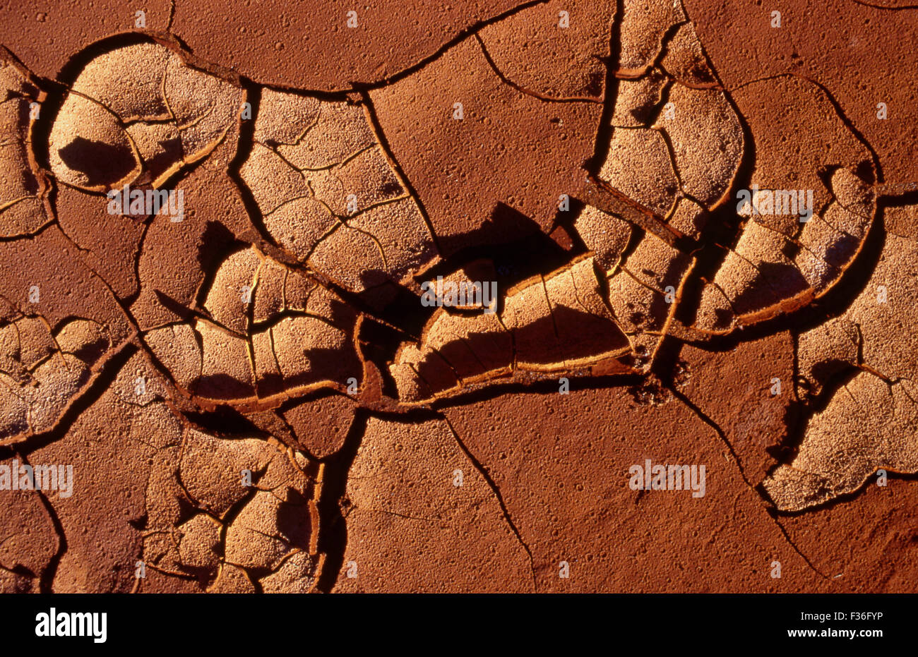 GETROCKNETE UND RISSIG SCHLAMM DURCH TROCKENHEIT IM NÖRDLICHEN WESTERN AUSTRALIA Stockfoto