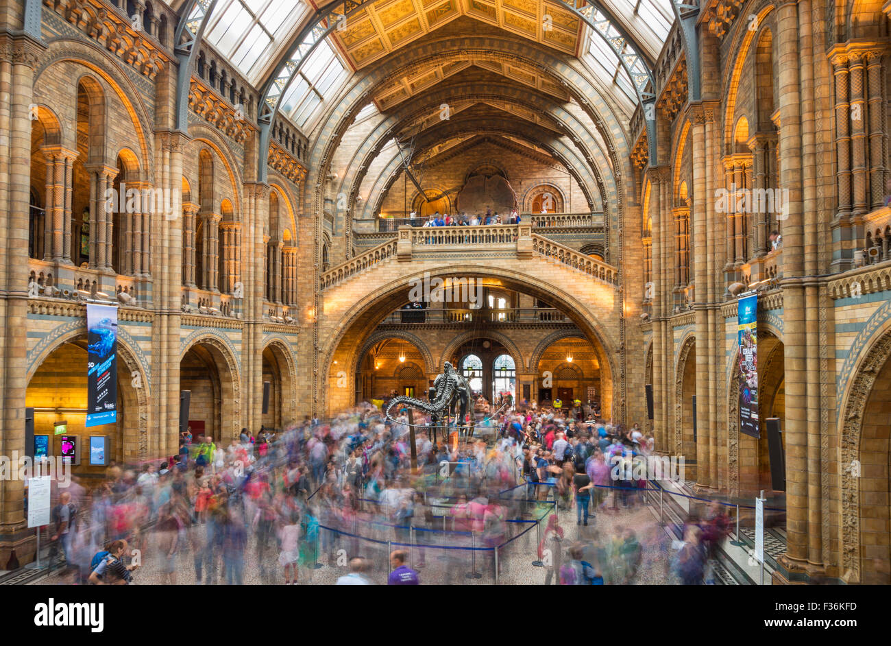 Besucher in der zentralen Halle des Natural History Museumsausstellung Road South Kensington London England GB UK EU Europa Stockfoto
